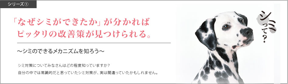 シリーズ1・「なぜシミができたか」がわかれば、ぴったりの改善策が見つけられる