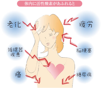図・あふれた活性酸素は、細胞の破壊を招く