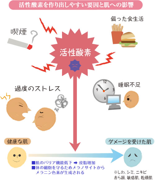 図・あふれた活性酸素は、細胞の破壊を招く