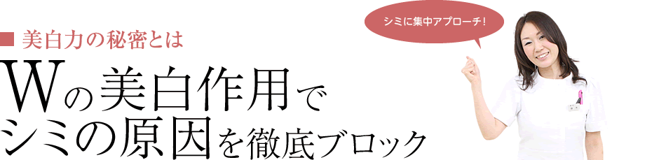 シミの原因をブロック