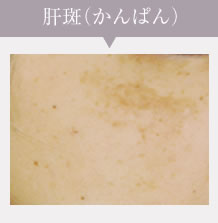 かんぱん