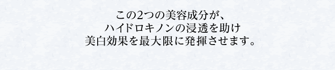 美白作用を最大限に発揮