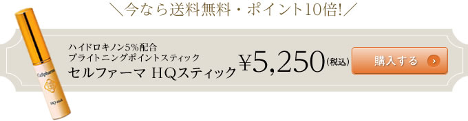 購入する
