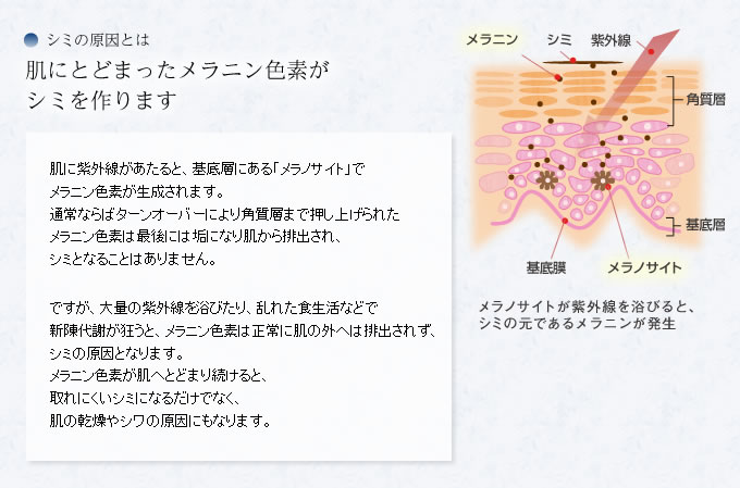 シミの原因はメラニン