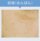 かんぱん