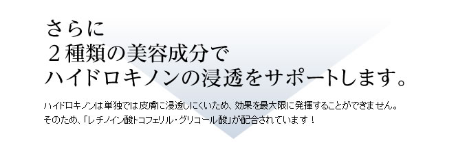 ２種類の美容成分でハイドロキノンが浸透